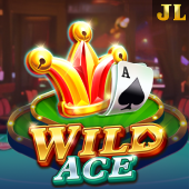 Wild Ace FairPlay Movie App Casino
